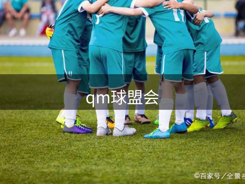 了解qm球盟会